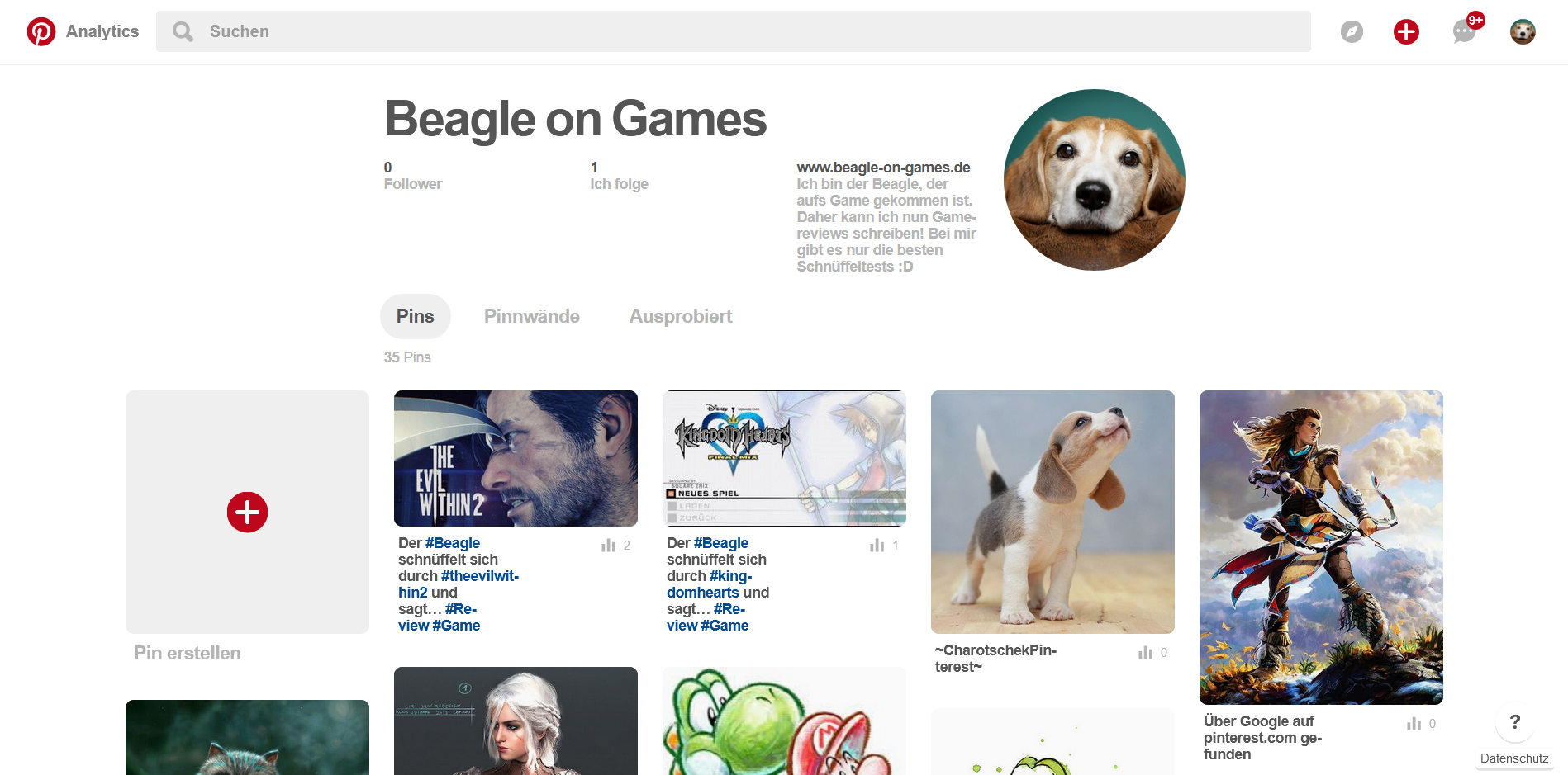 BeaglePinterest